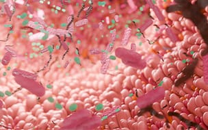 Close-up inner view of a human intestine with microbiome