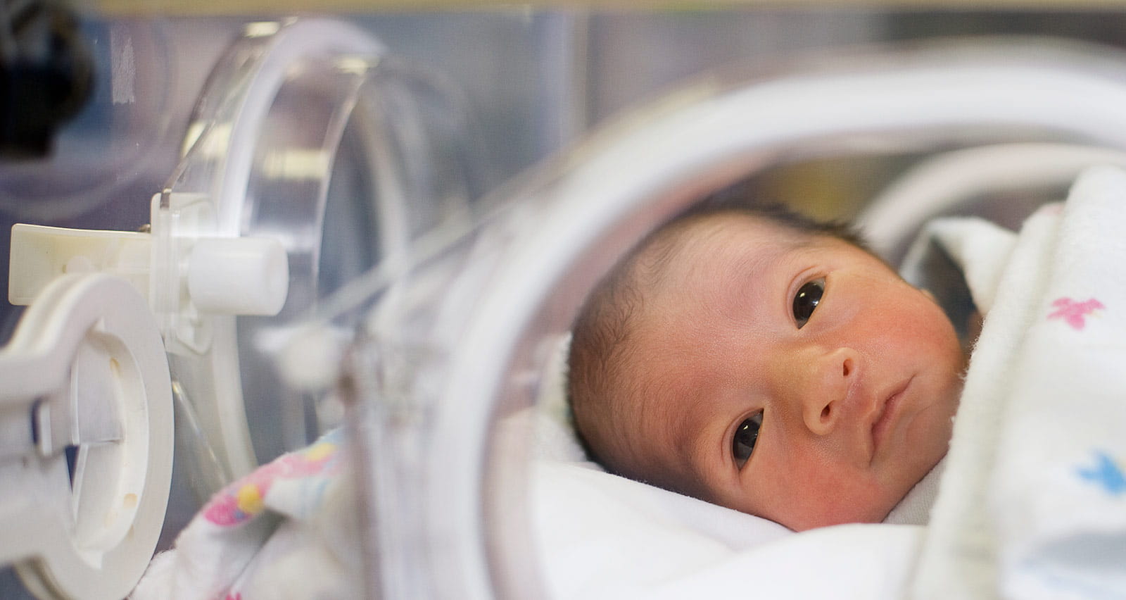 A Hispanic baby lies safely in the neonatal intensive care unit 