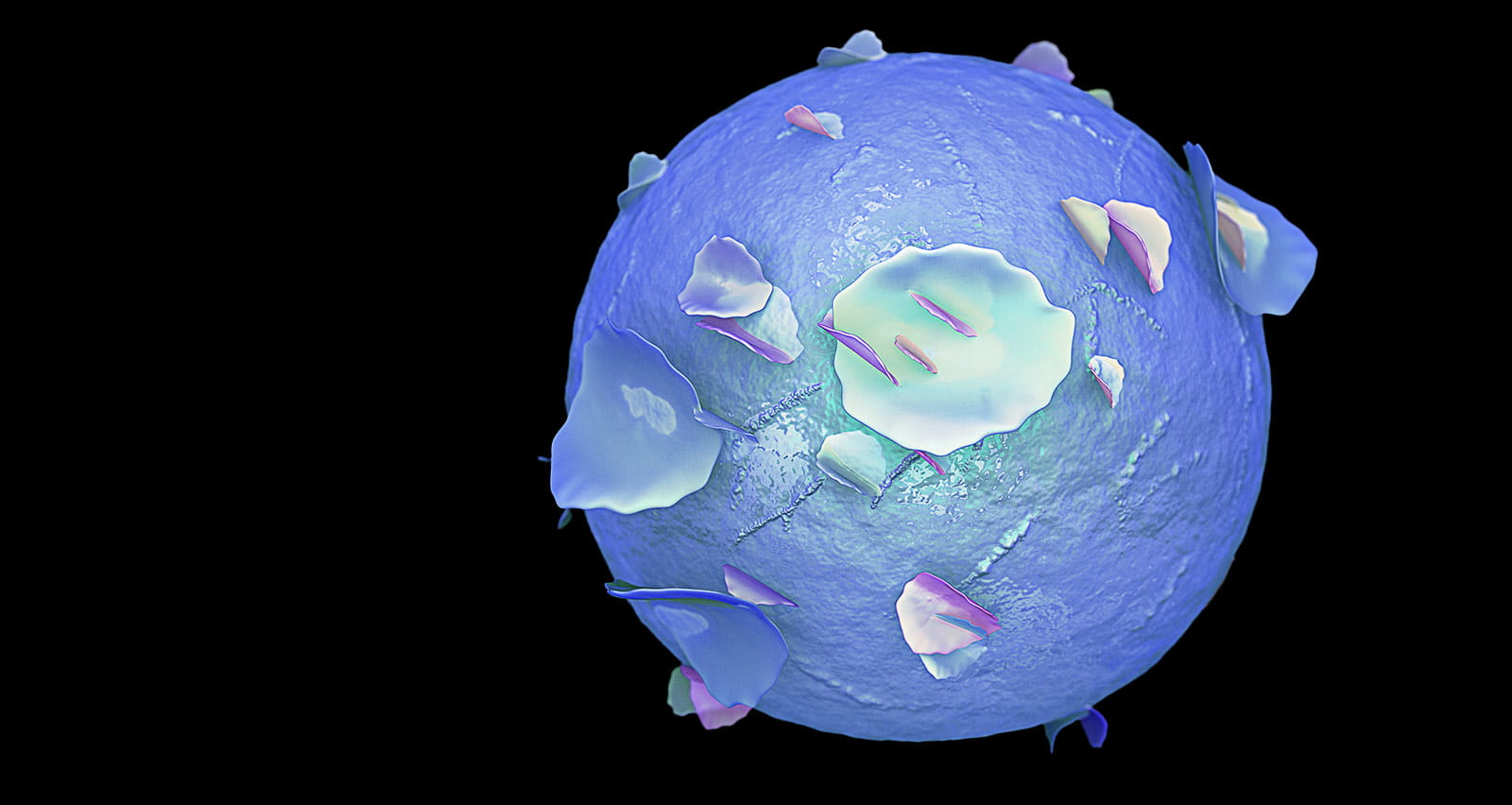 Bone Marrow Stem Cell illustration