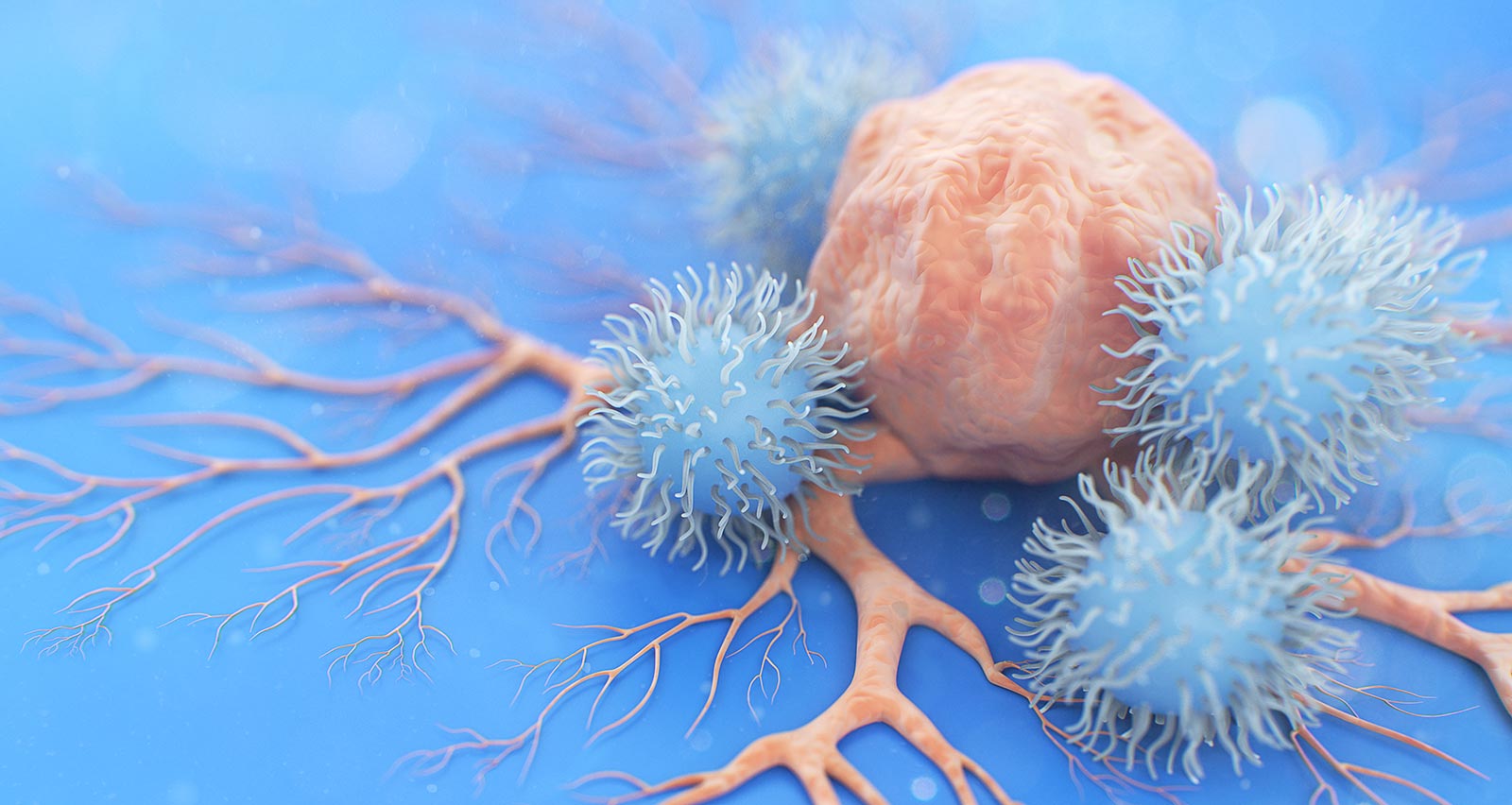 NK Cell (Natural Killer Cell) attacking a cancer cell