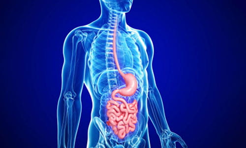 Illustration of Gastrointestinal (GI) Cancer