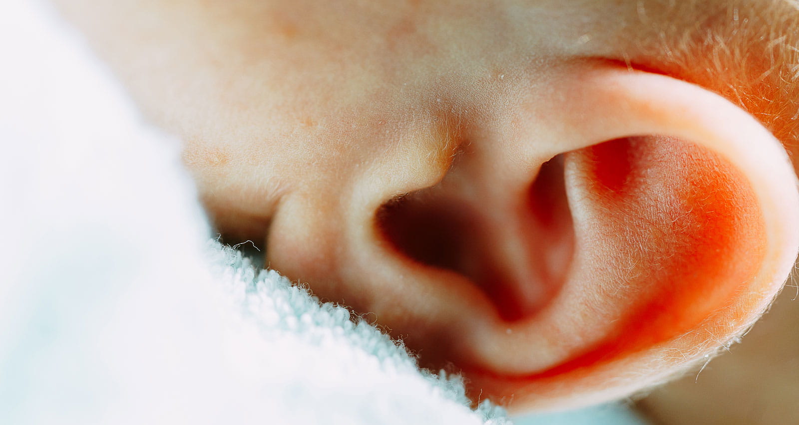 A newborn baby's ear close-up