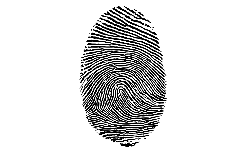 A fingerprint