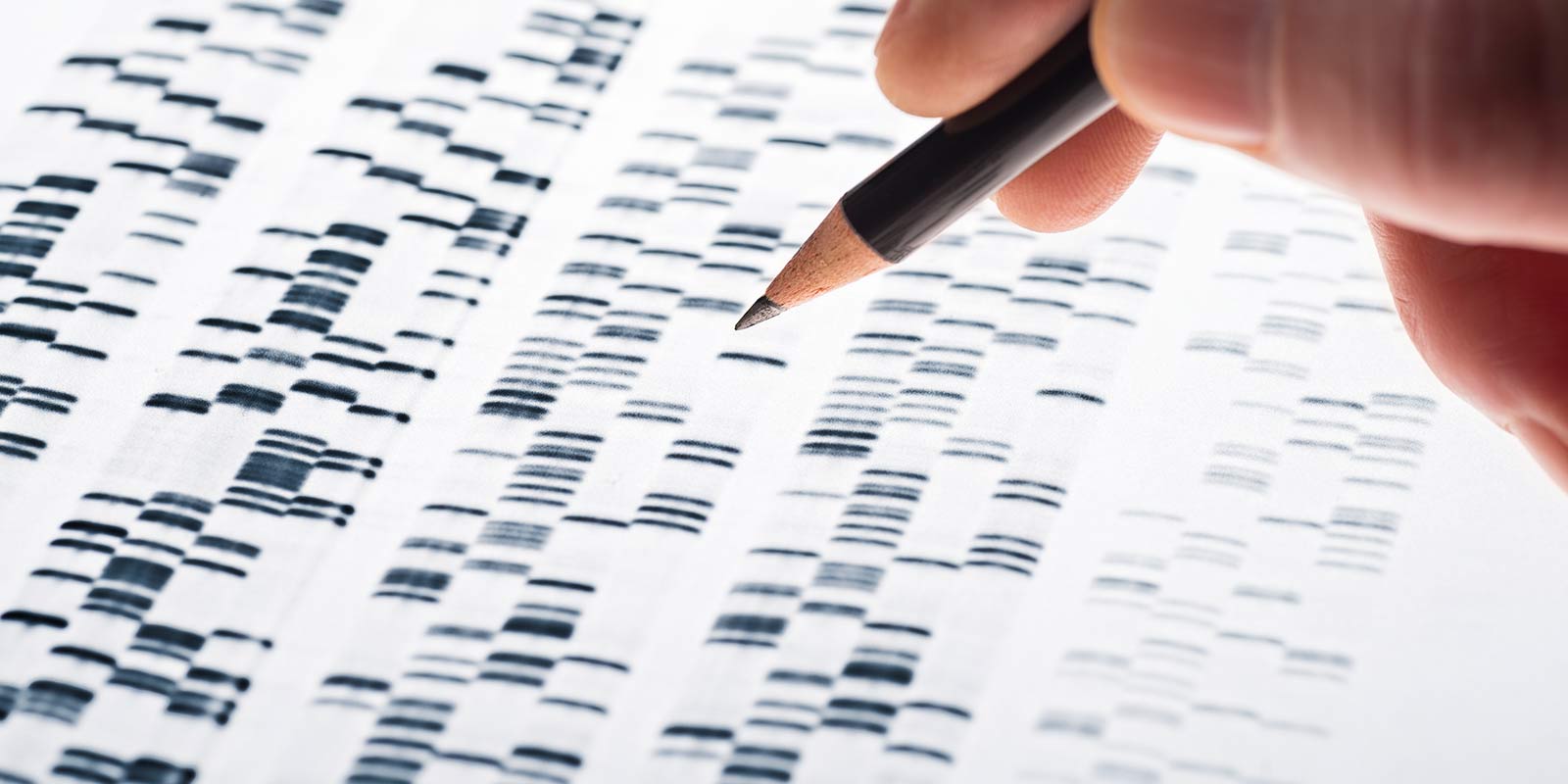 Genetic researcher looking at human genome code.