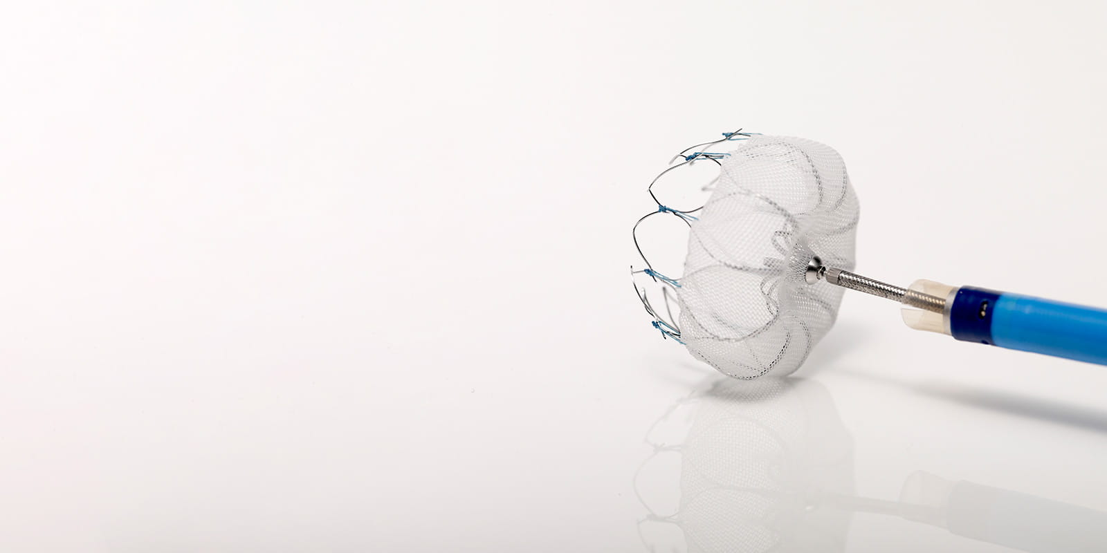 A female patient having consultation with doctor