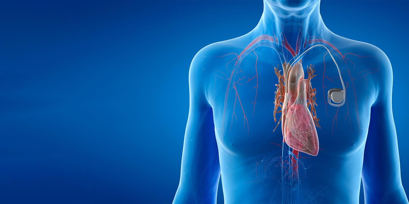 A female patient having consultation with doctor