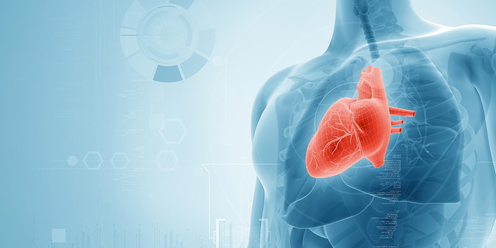 A female patient having consultation with doctor