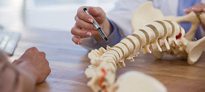 Physician uses a model of the spinal column to demonstrate a procedure