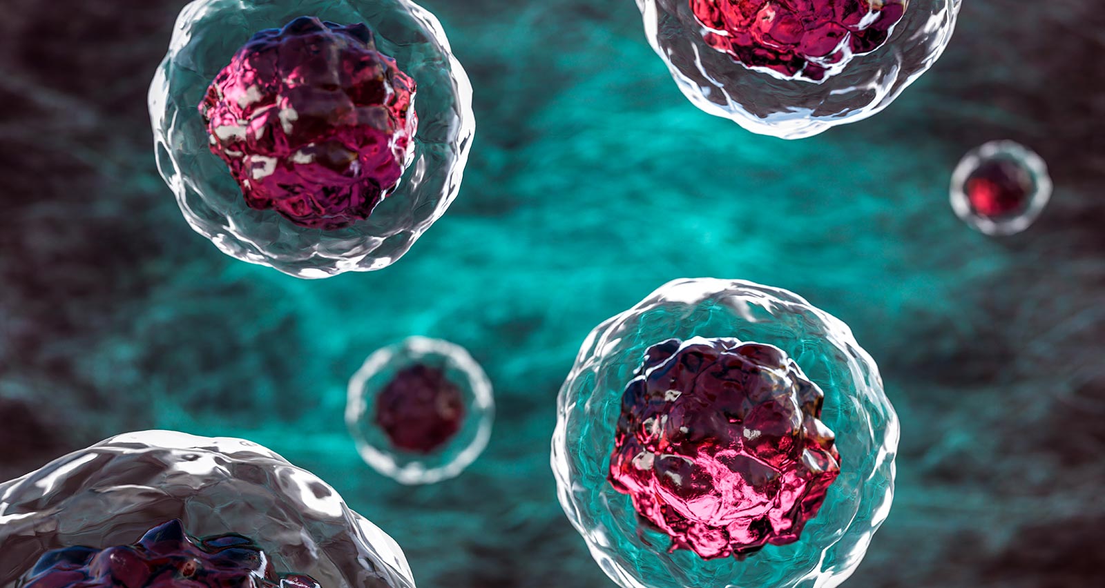 Illustration of stem cells in the human body