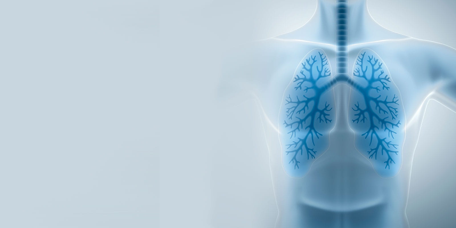 Illustration of Healthy Lungs