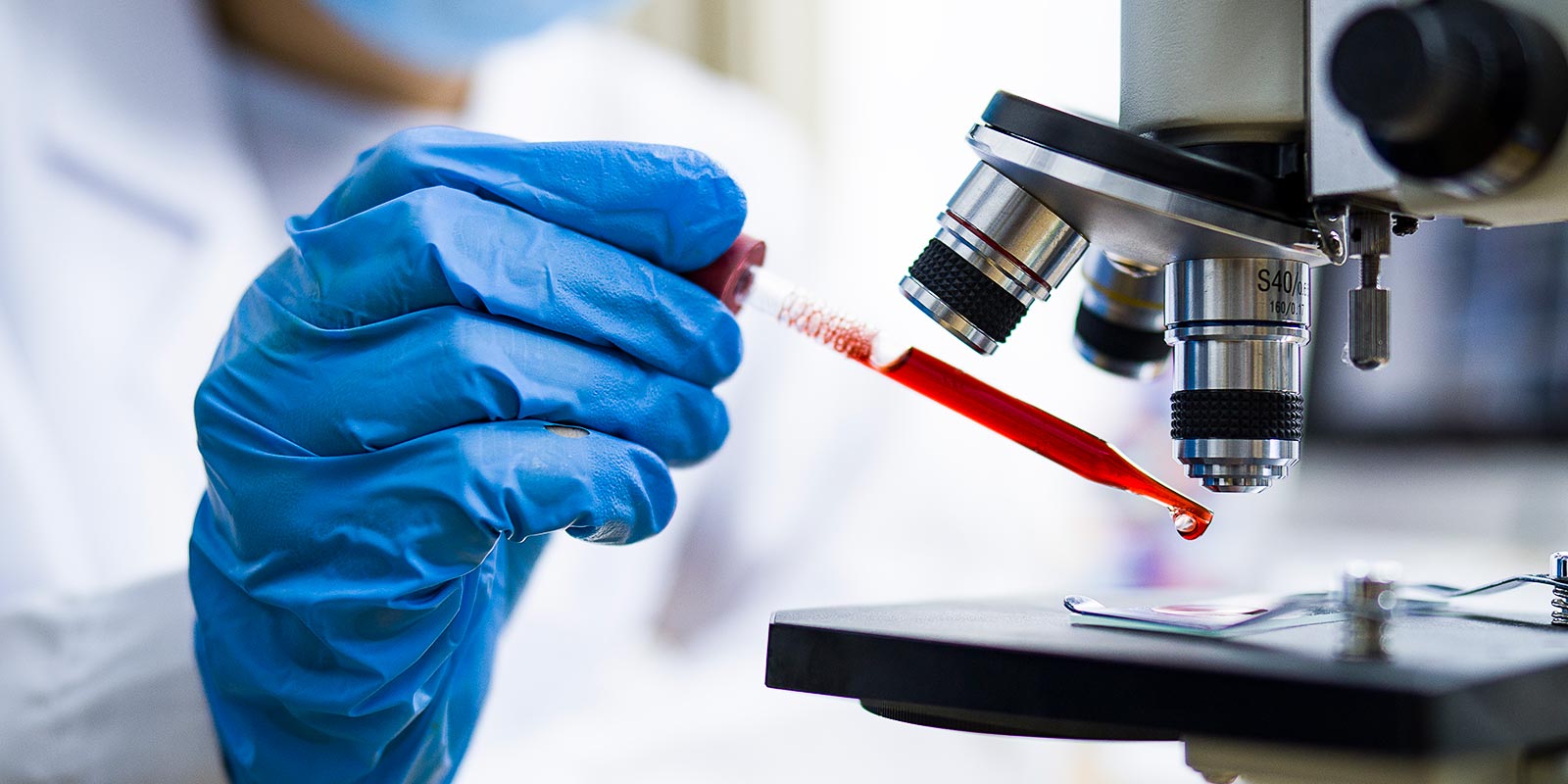 A physician scientist working with blood sample in laboratory