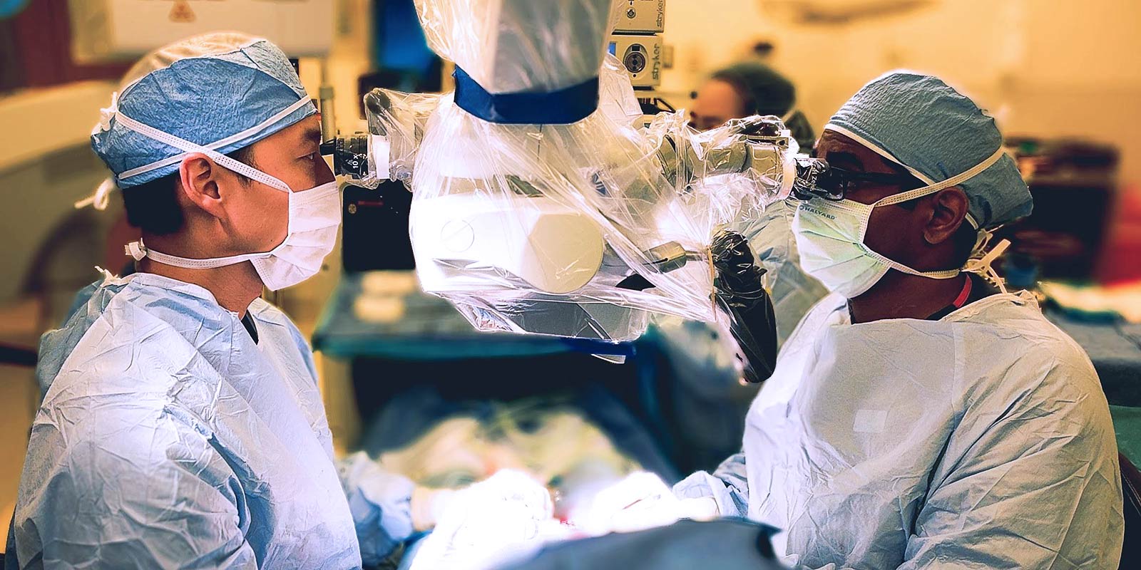 Two surgeons performing urologic microsurgery