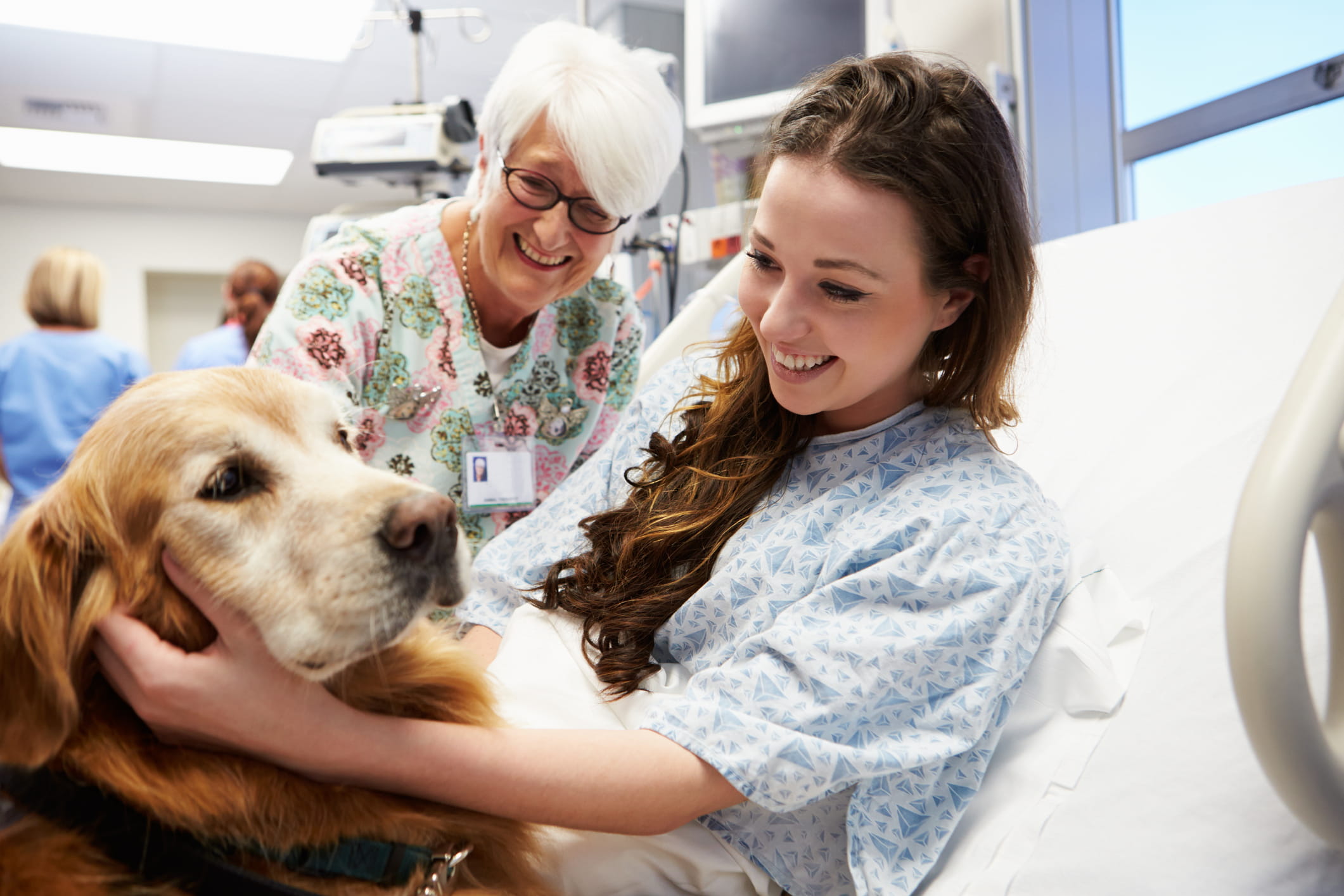 Young girl in hospital being visited by a friendly dog