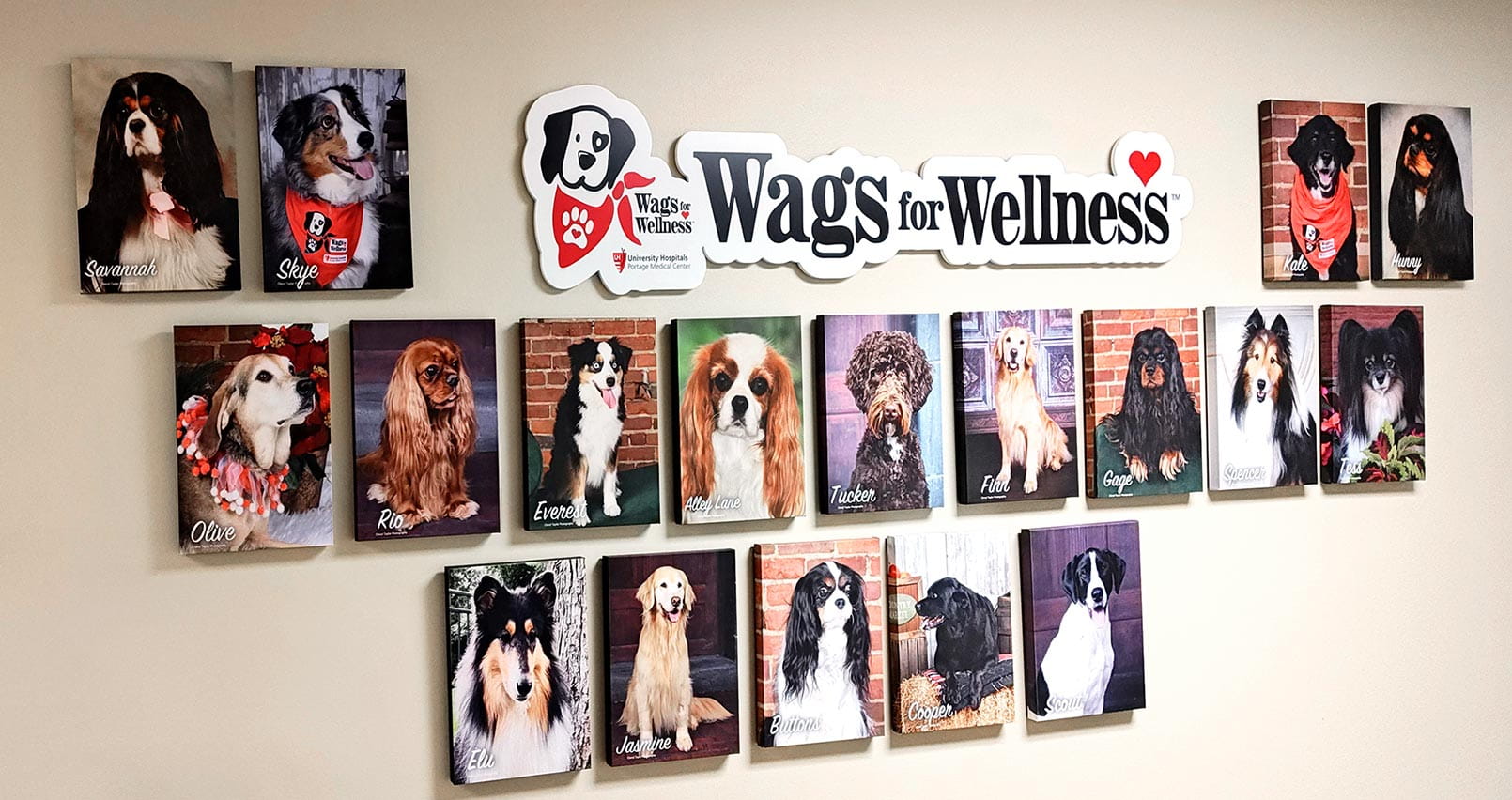 The Wags for Wellness photo display at UH Portage Medical Centers