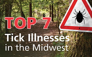 Top 7 Tick Illnesses in the Midwest