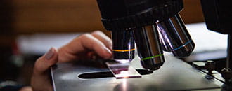 Researchers